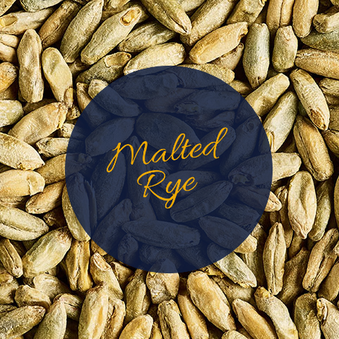 Malted Rye salyklas
