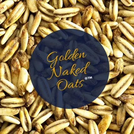 Simpsons GOLDEN NAKED OATS - malt