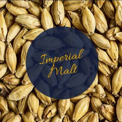 Simpsons IMPERIAL - malt