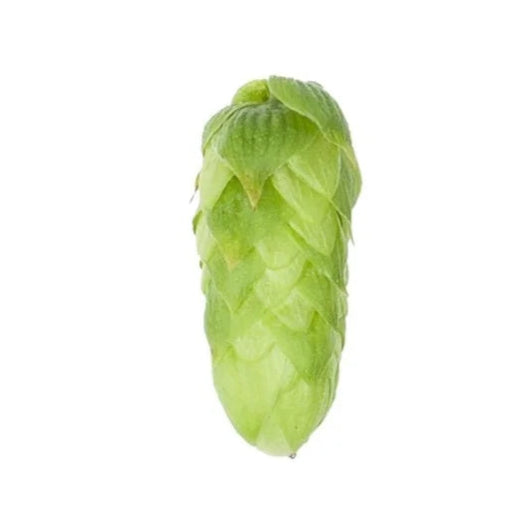 Mittelfruh hops